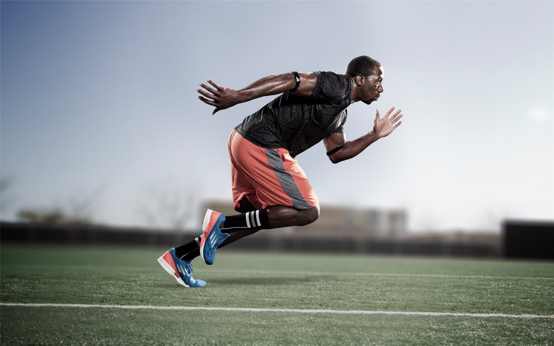 体育场馆维护人员培训提升场地保养水平，体育场馆维修养护内容